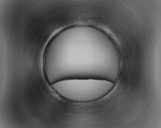 X0000088221232200705151022