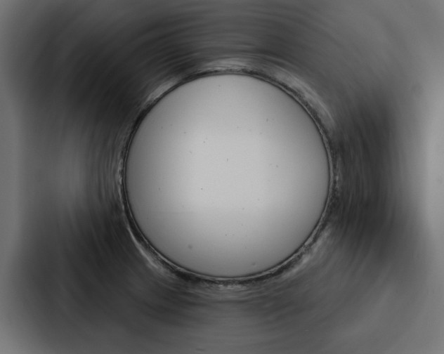 X0000088221233200705151022