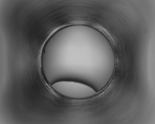 X0000088221236200705151022