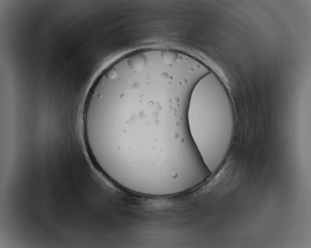 X0000088221239200705151022