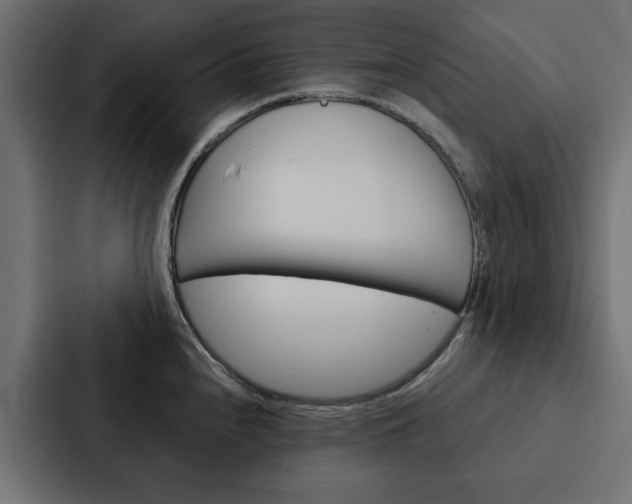 X0000088221240200705151022
