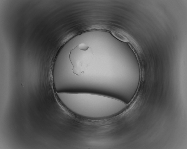 X0000088221241200705151022