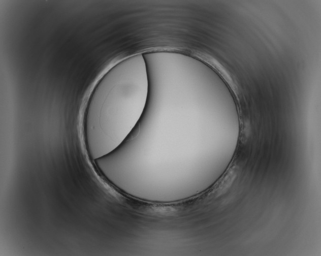X0000088221243200705151023