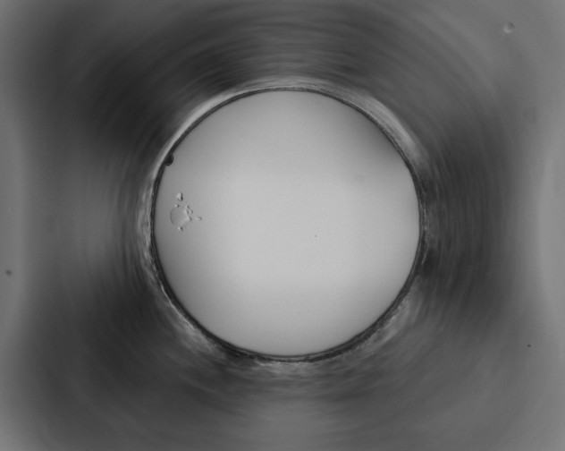 X0000088221244200705151023
