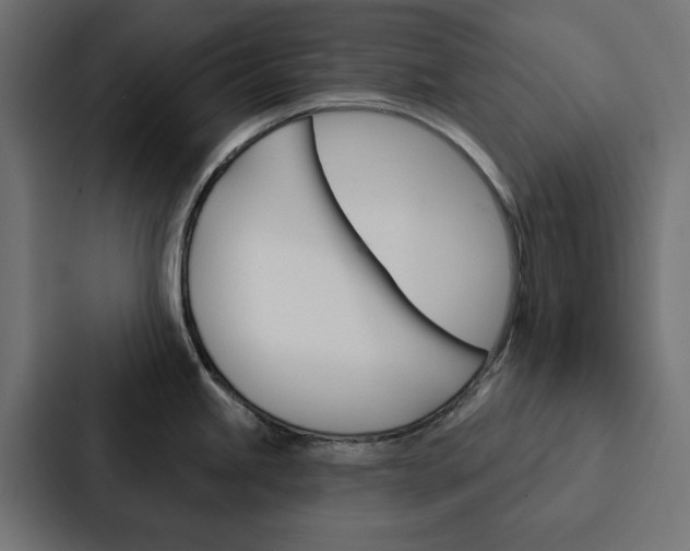 X0000088221245200705151023