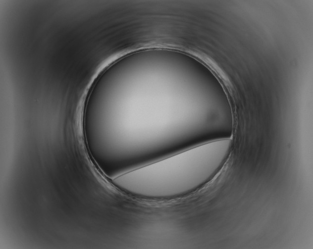 X0000088221246200705151023