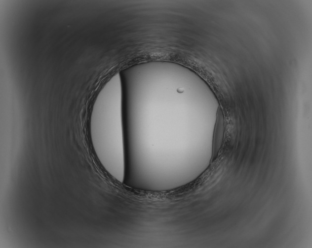 X0000088221249200705151022