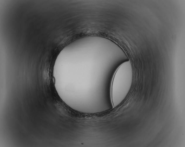 X0000088221250200705151022