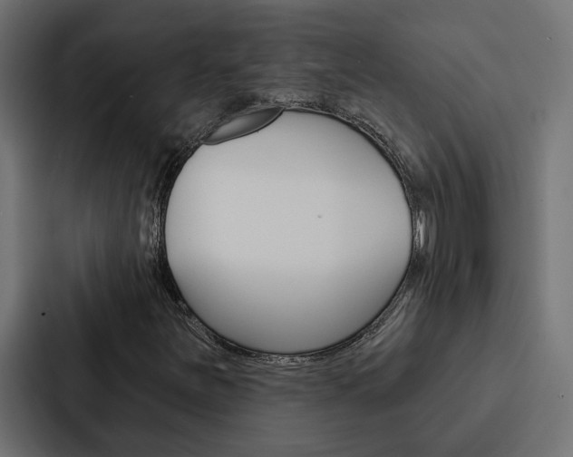 X0000088221251200705151022