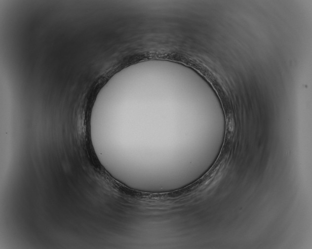 X0000088221252200705151022