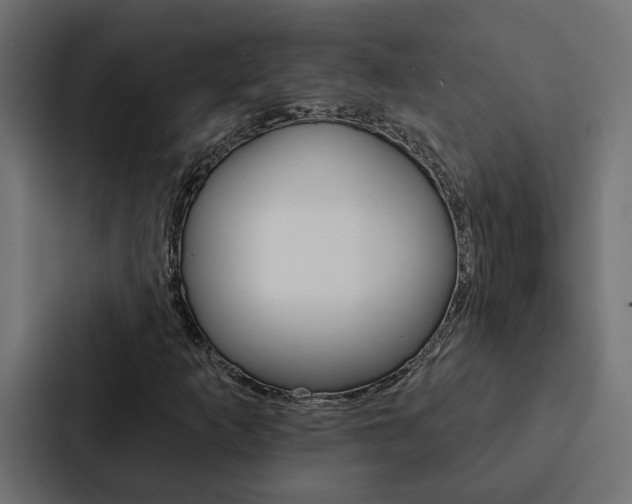 X0000088221253200705151022