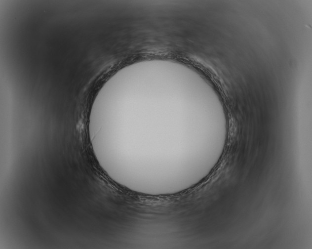 X0000088221254200705151022