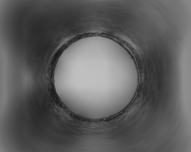X0000088221256200705151022