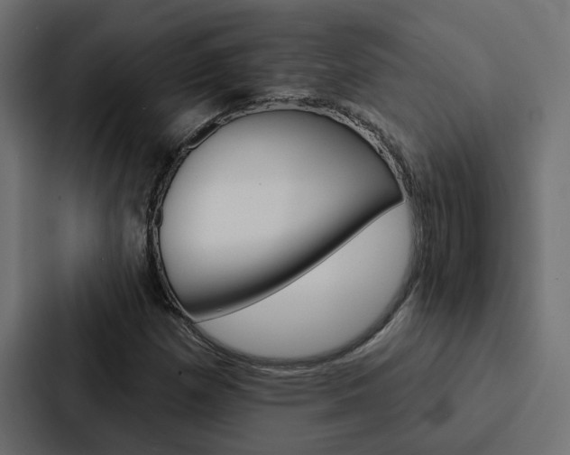 X0000088221257200705151022