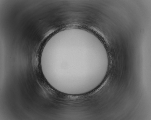 X0000088221258200705151022