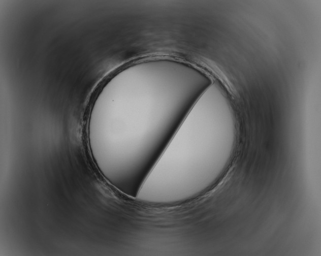 X0000088221260200705151022