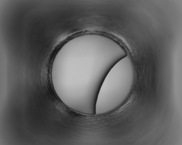 X0000088221263200705151022