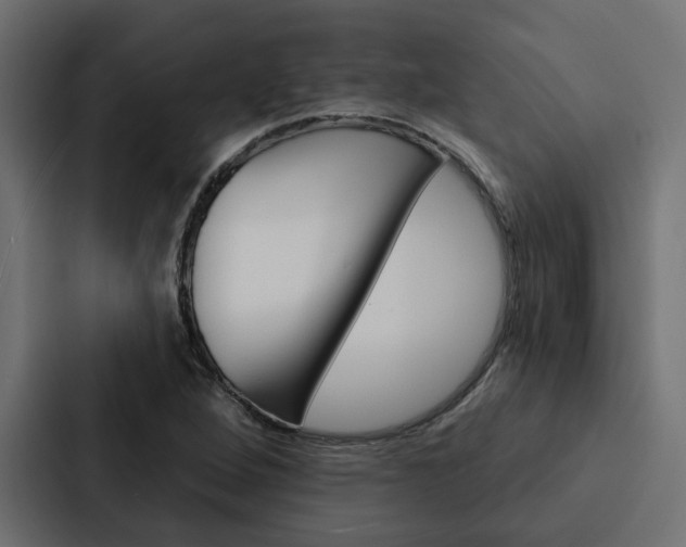 X0000088221264200705151022