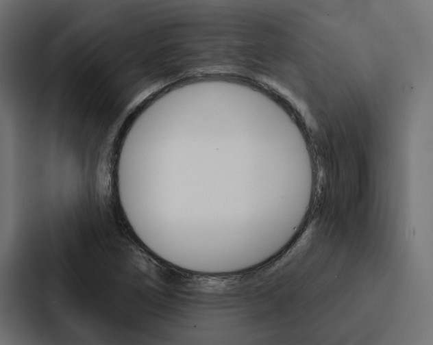 X0000088221266200705151022