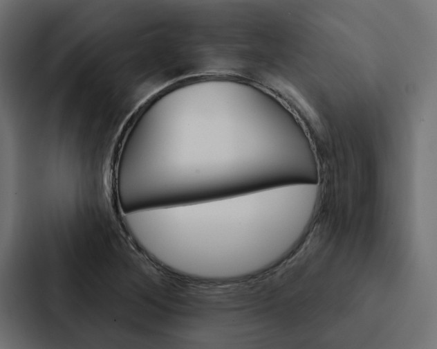 X0000088221268200705151022