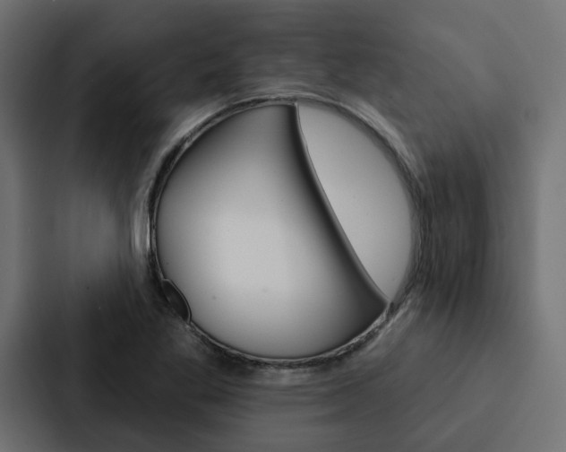 X0000088221269200705151022