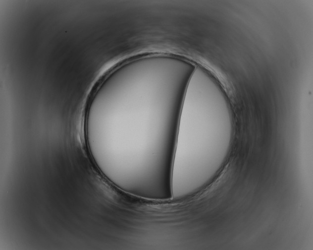 X0000088221272200705151022