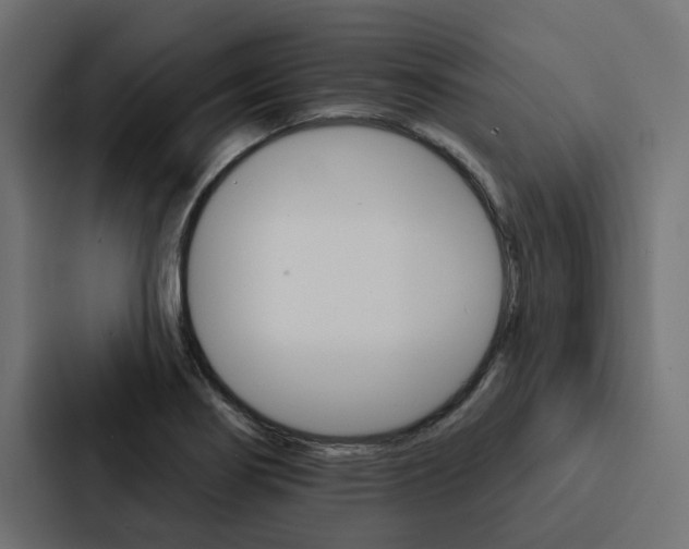 X0000088221274200705151022