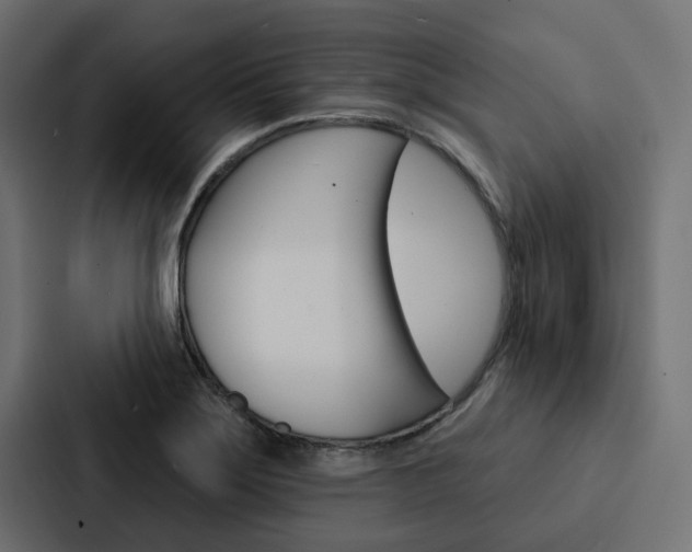 X0000088221275200705151022