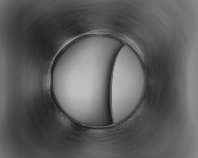 X0000088221276200705151022
