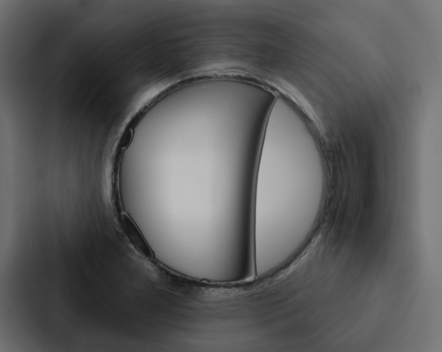 X0000088221277200705151022