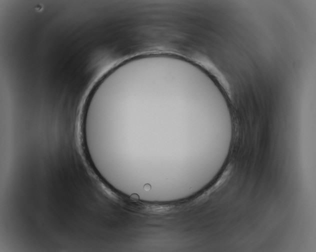 X0000088221278200705151022