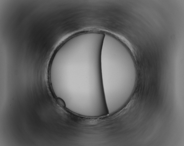 X0000088221279200705151022