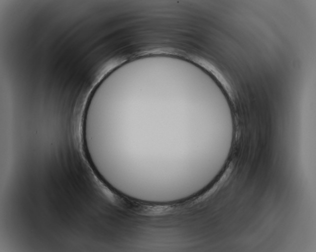 X0000088221282200705151022