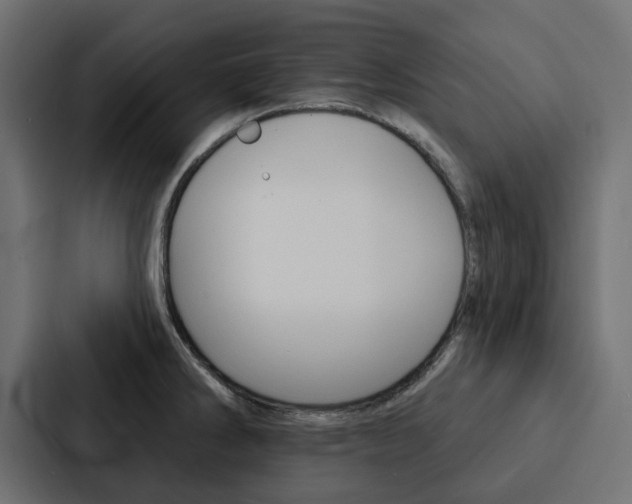 X0000088221286200705151021