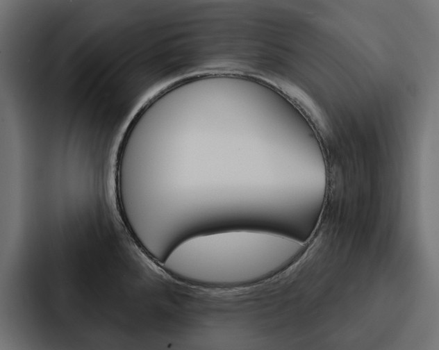 X0000088221288200705151021