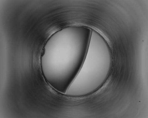 X0000088221289200705151021