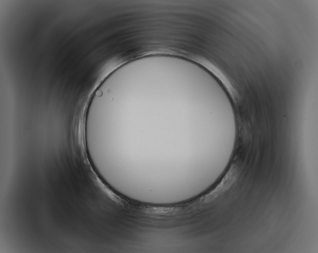 X0000088221290200705151021