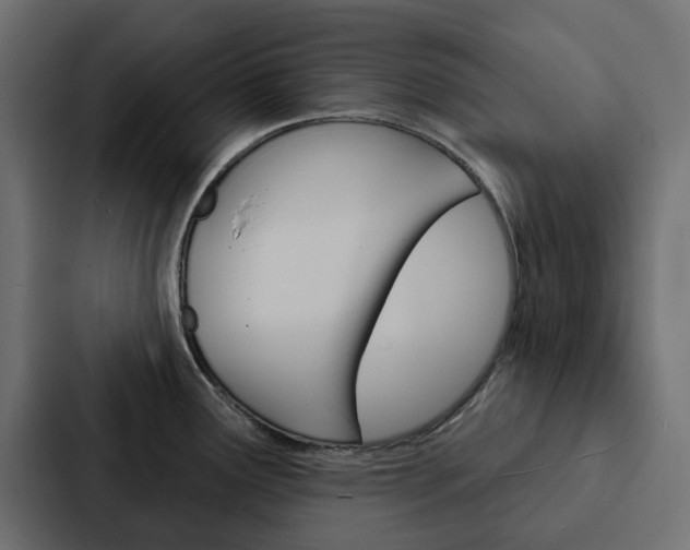 X0000088221291200705151021
