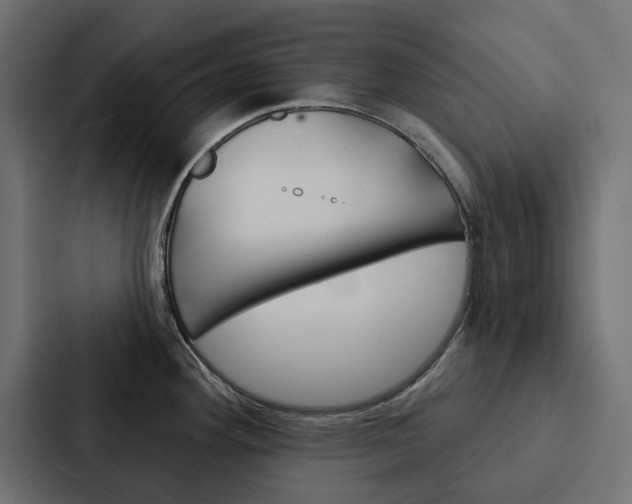 X0000088221292200705151021