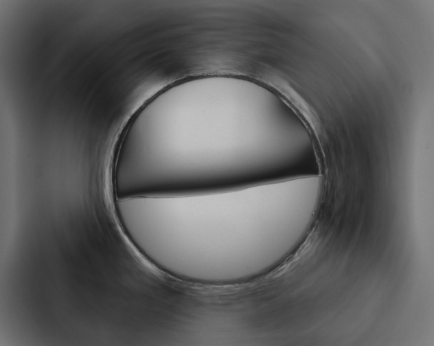 X0000088221293200705151021