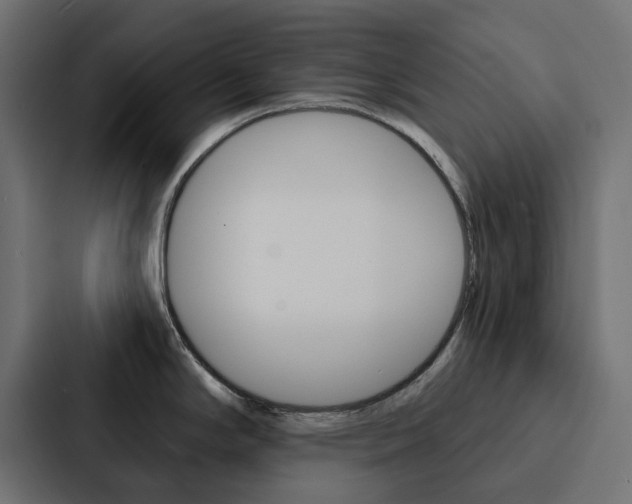 X0000088221294200705151021