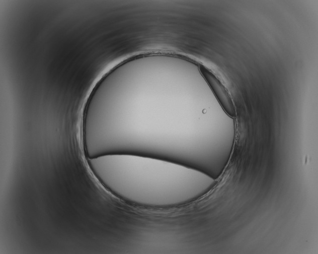 X0000088221295200705151021