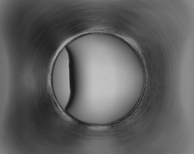 X0000088221296200705151021