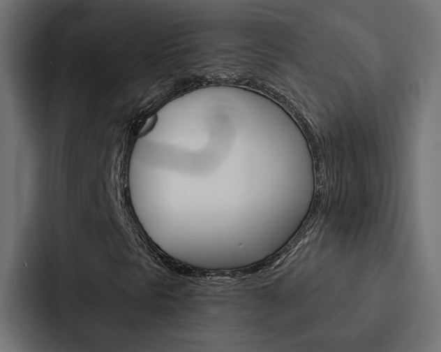 X0000088221297200705151021