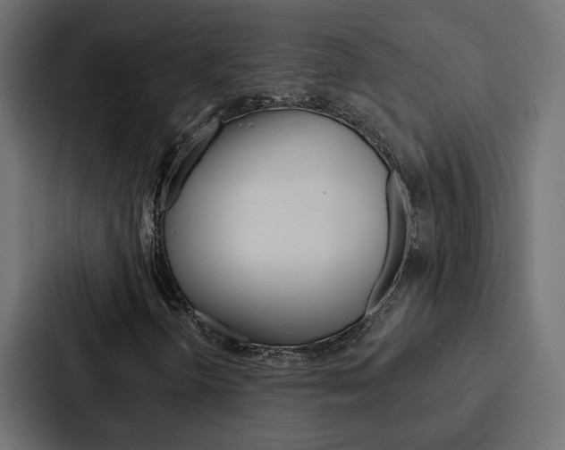 X0000088221298200705151021