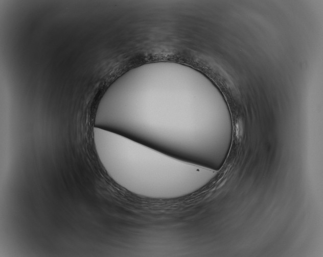 X0000088221299200705151021
