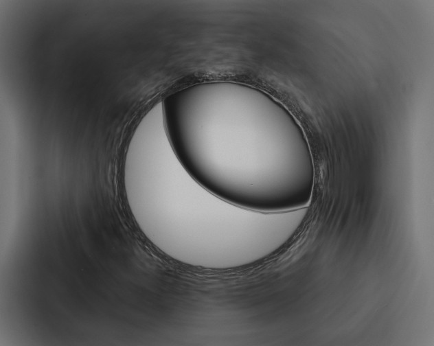 X0000088221300200705151021