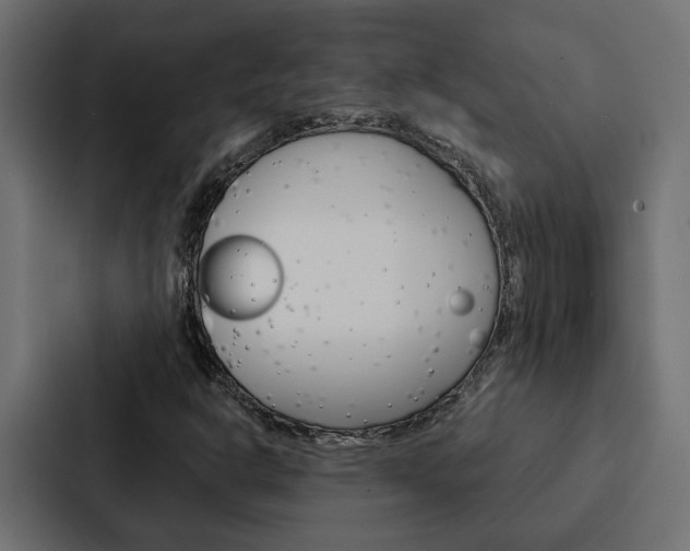 X0000088221302200705151021