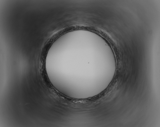 X0000088221303200705151021