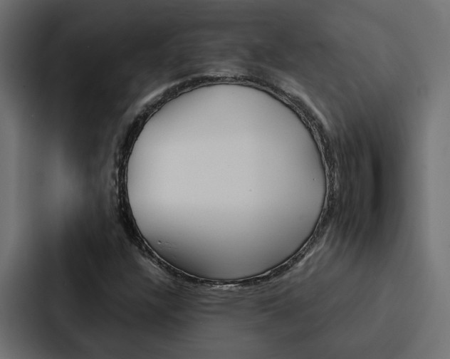 X0000088221304200705151021